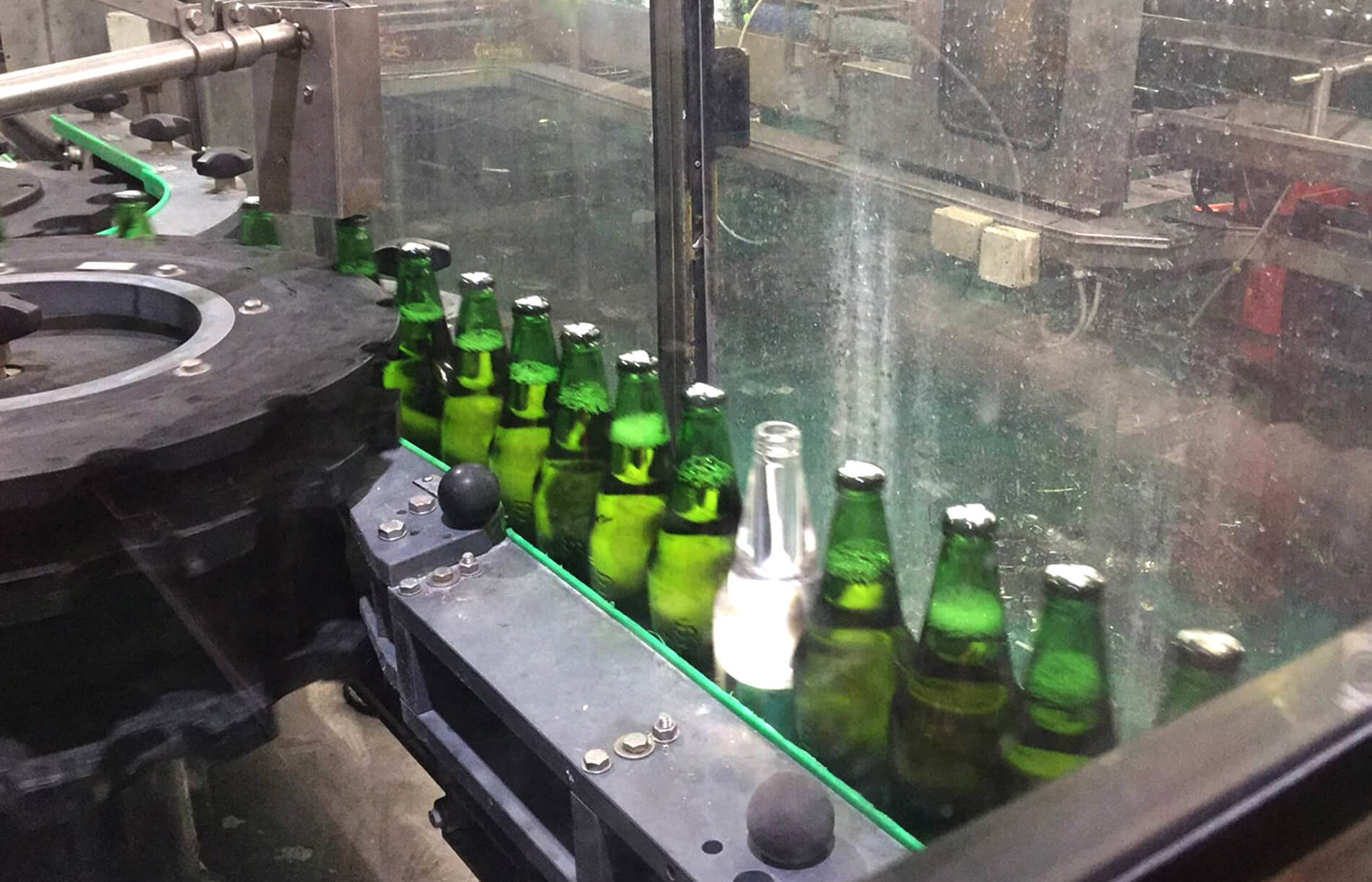 carlsberg beer being proccessed in line