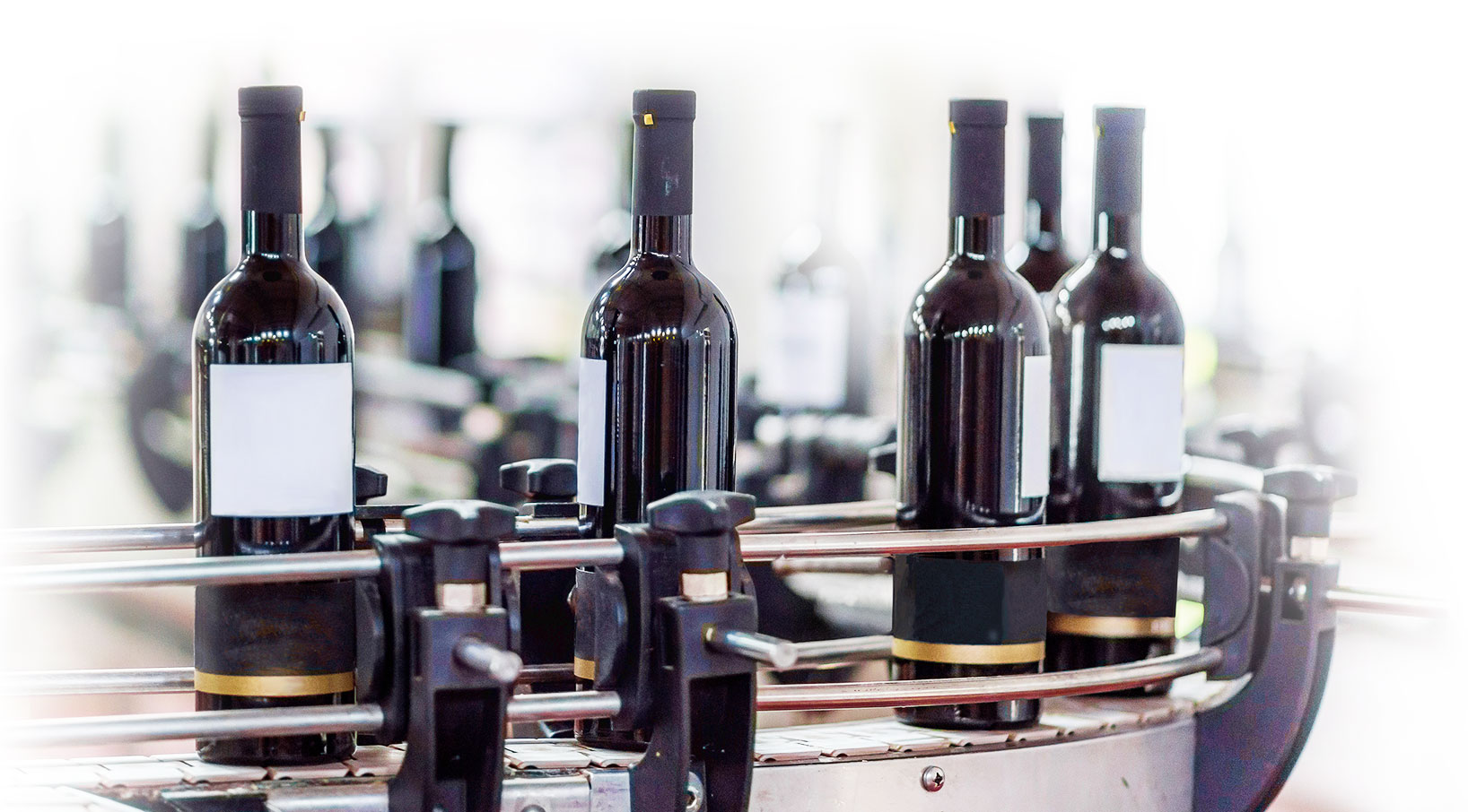 wine bottles on packaging line