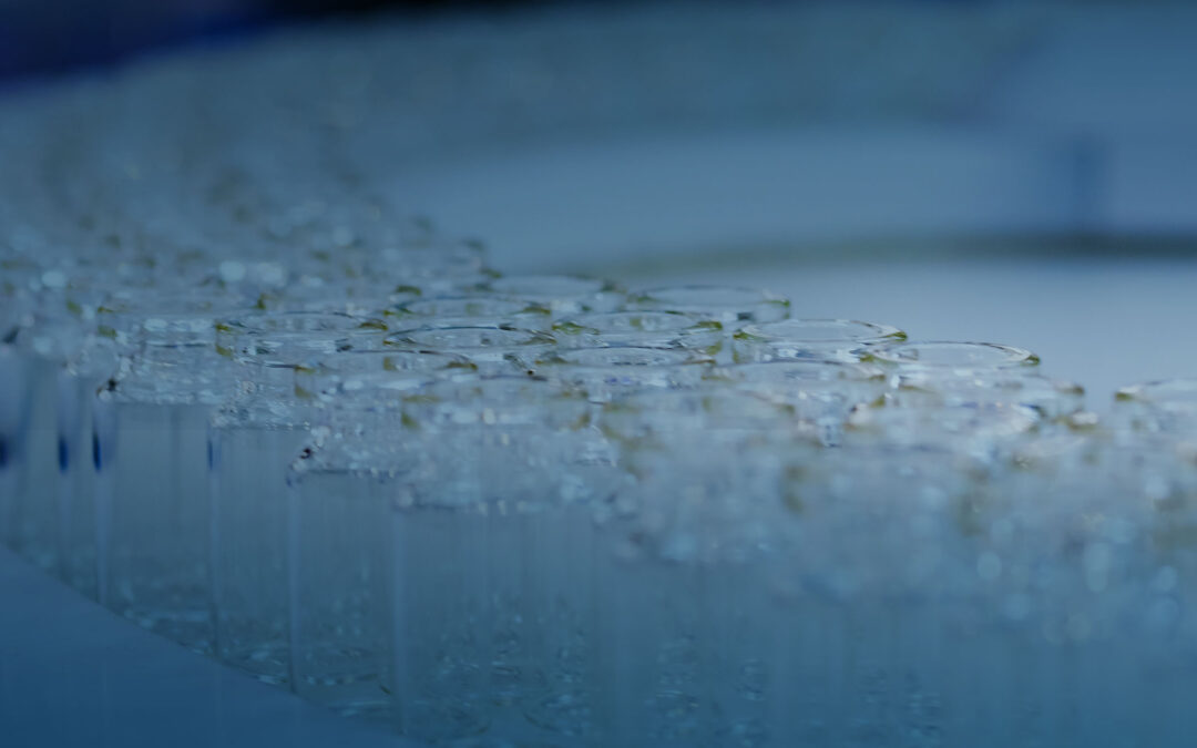 Best Practices for Impact Reduction in Pharmaceutical Glass Handling