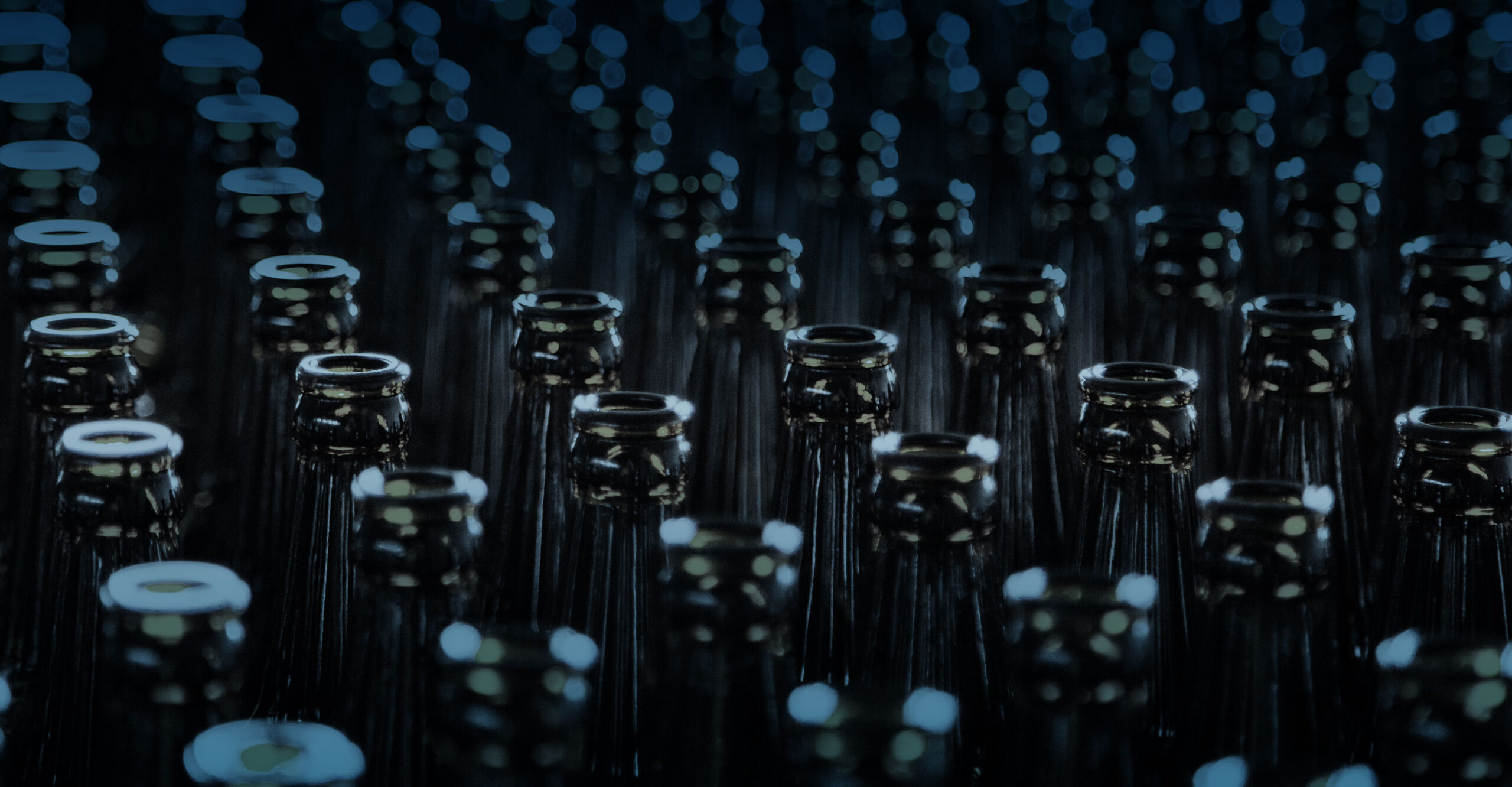 beer bottles ready for filling on the line
