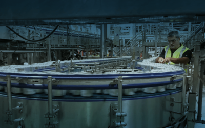 Packaging Engineer? Three ways to increase line efficiency by reducing damaging forces